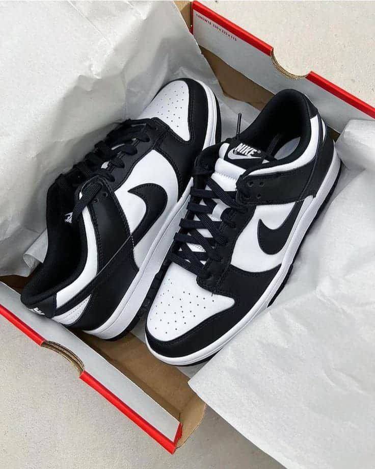 NIKE DUNK PANDA