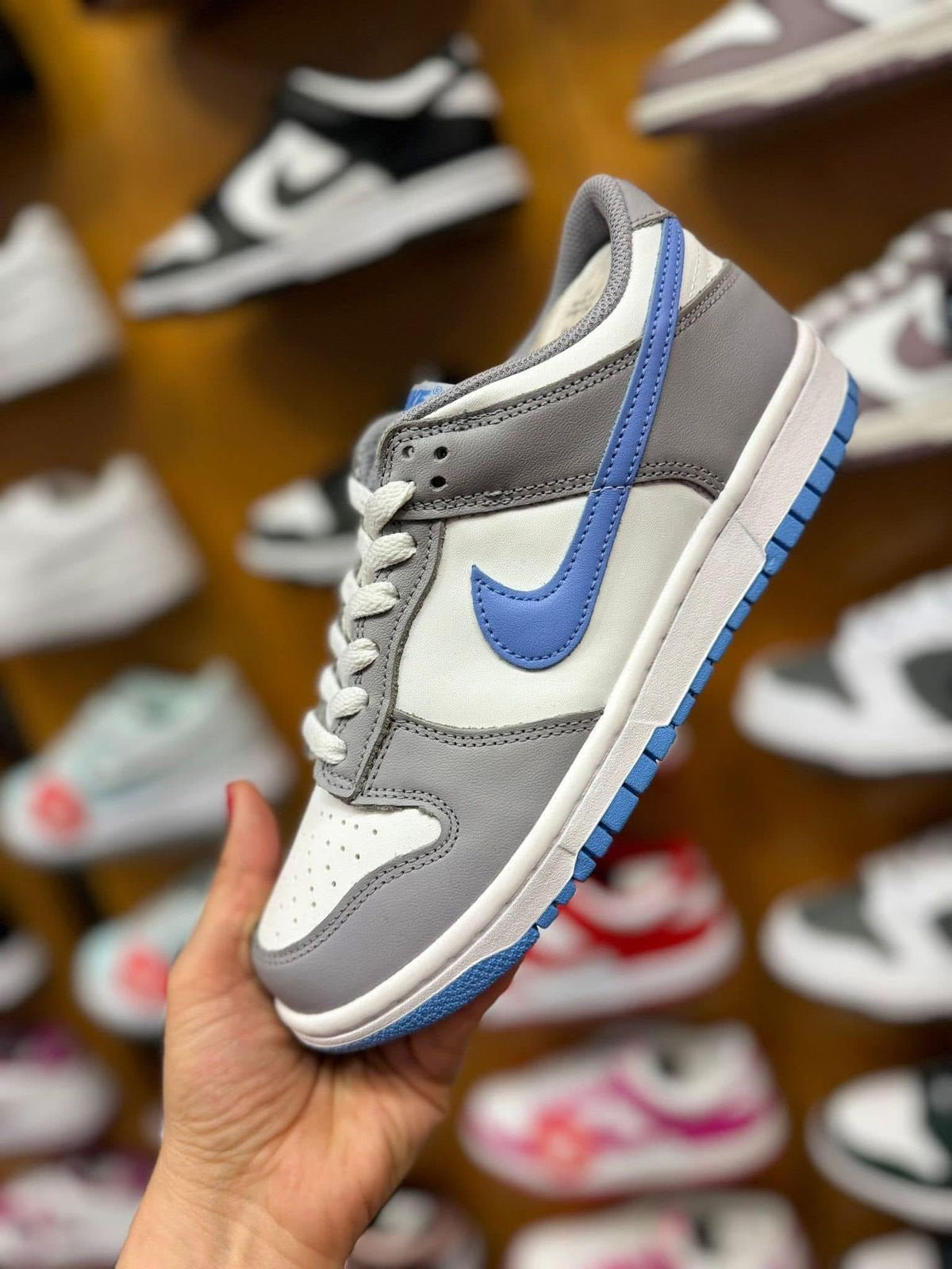 Dunk low